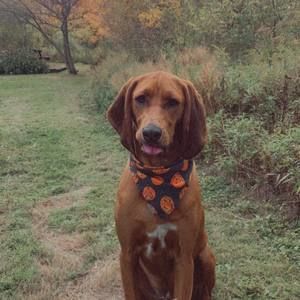 Meet your Posher, Kelly